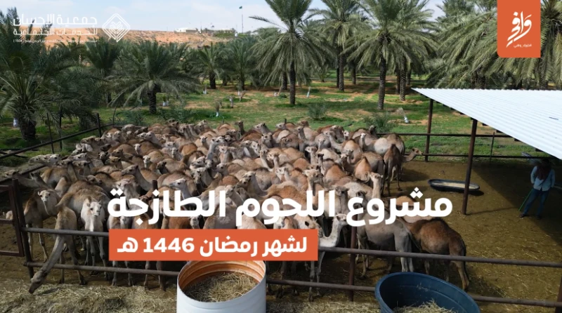 تقرير مرئي | مشروع اللحوم الطازجة لشهر رمضان 1446هـ